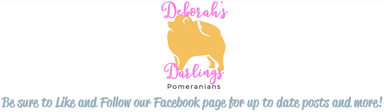 Deborah's Darlings